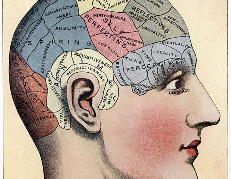 Implementing 4 Types of Memory in your Classroom