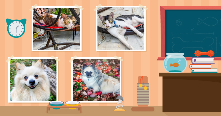 Permalink to Teacher’s Pet: January/February 2024 Teacher’s Pet: January/February 2024