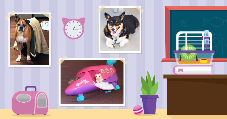 Teacher’s Pet: July/August 2023