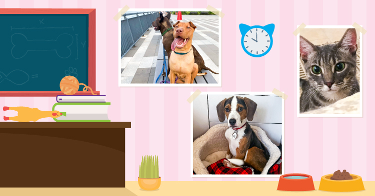 Teacher’s Pet: May/June 2023