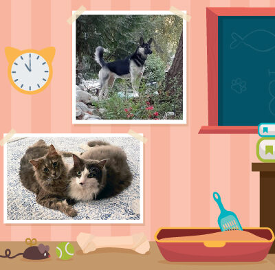 Teacher’s Pet: May/June 2024