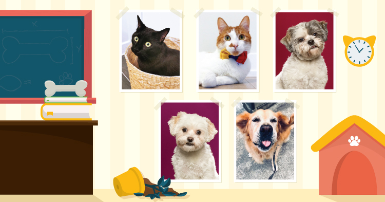 Teacher’s Pet: September/October 2022