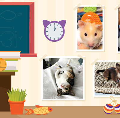 Teacher’s Pet: September/October 2024