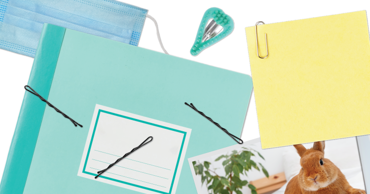 Crazy COVID Chronicles: Reflecting on a Year of Pandemic Teaching