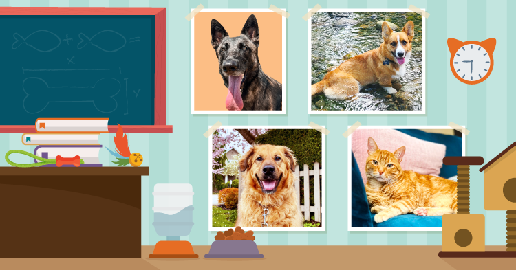 Permalink to Teacher’s Pet: March/April 2024 Teacher’s Pet: March/April 2024