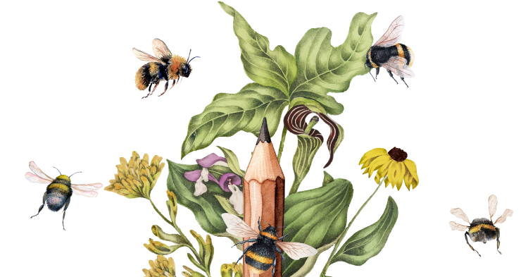 Permalink to The Importance of Bees: Teaching Kids about Pollinators The Importance of Bees: Teaching Kids about Pollinators