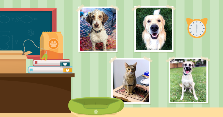 Teacher’s Pet: September/October 2023